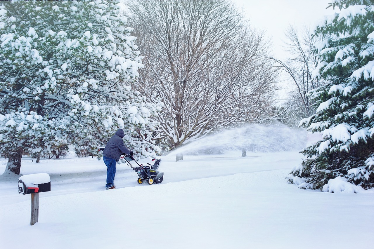 The Top Snowblowers for Clearing Snow